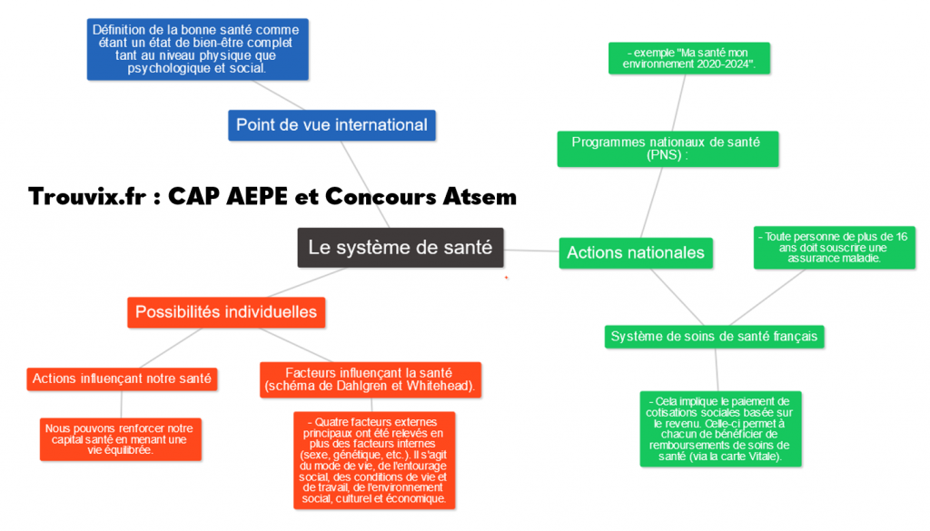 Cours PSE CAP - L'individu Responsable De Son Capital Santé - AEPE ...