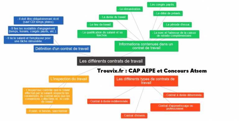 Cours PSE CAP - L’individu Dans Son Milieu Professionnel, Impliqué Dans ...