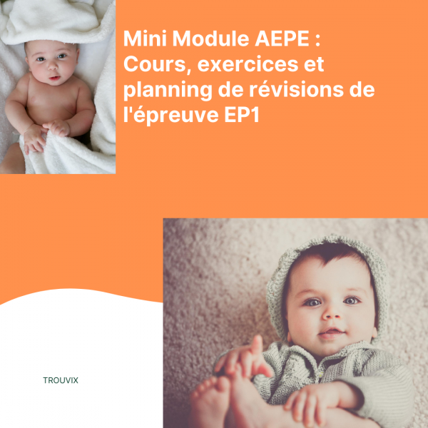 Mini Module AEPE - Cours exercices et planning de révisions de l épreuve EP1
